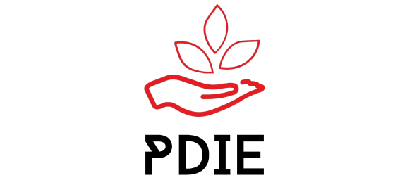 PDIE Group
