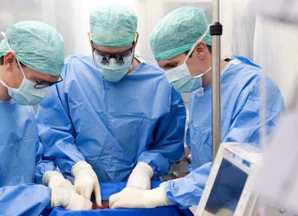 Swiss doctors implant treated liver