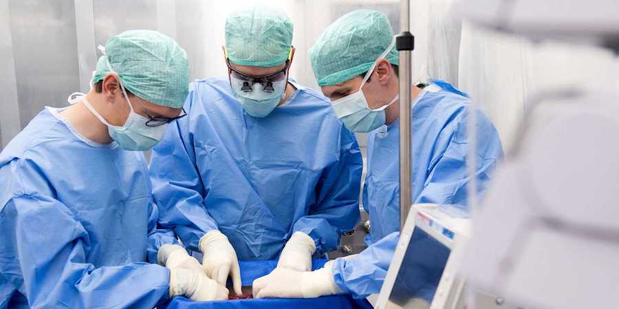 Swiss doctors implant treated liver