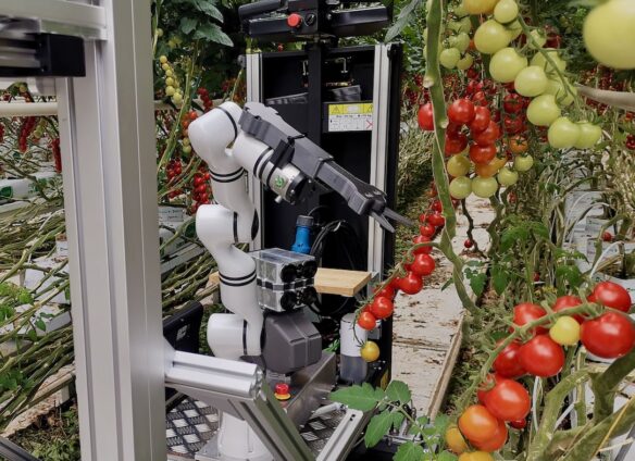 A Swiss picking robot for the greenhouse