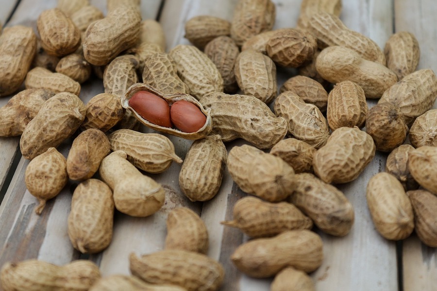 Nestlé to cure peanut allergies