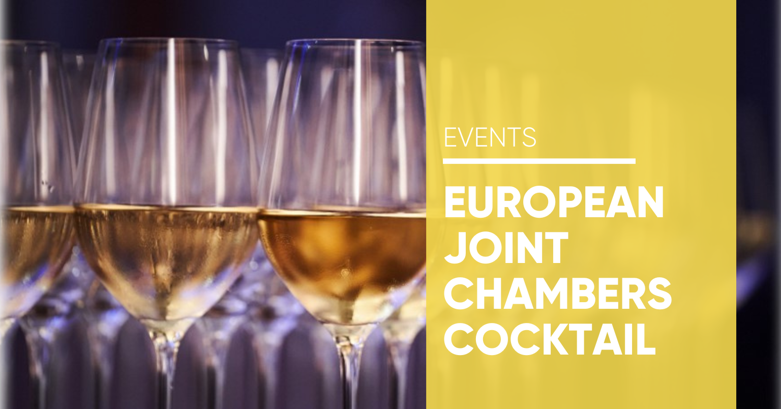 European Joint Chamber Networking Party 2023