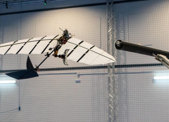 Swiss robot flies and lands like a bird