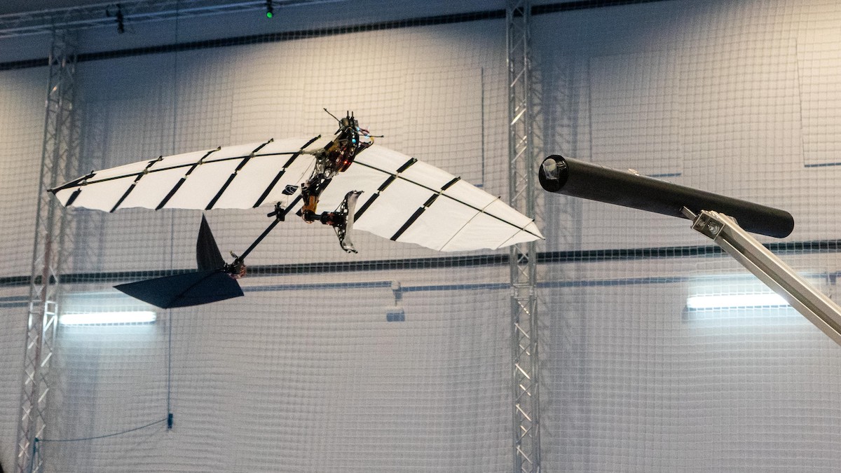 Swiss robot flies and lands like a bird